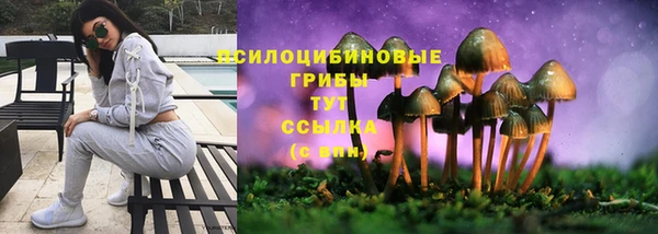соль курить ск Краснослободск