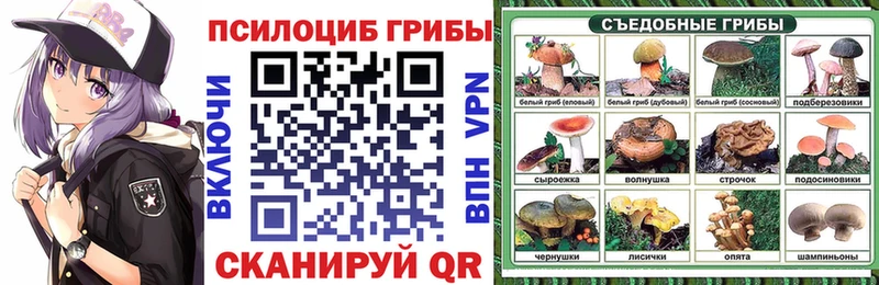 Галлюциногенные грибы мухоморы  Купить закладки  Махачкала 